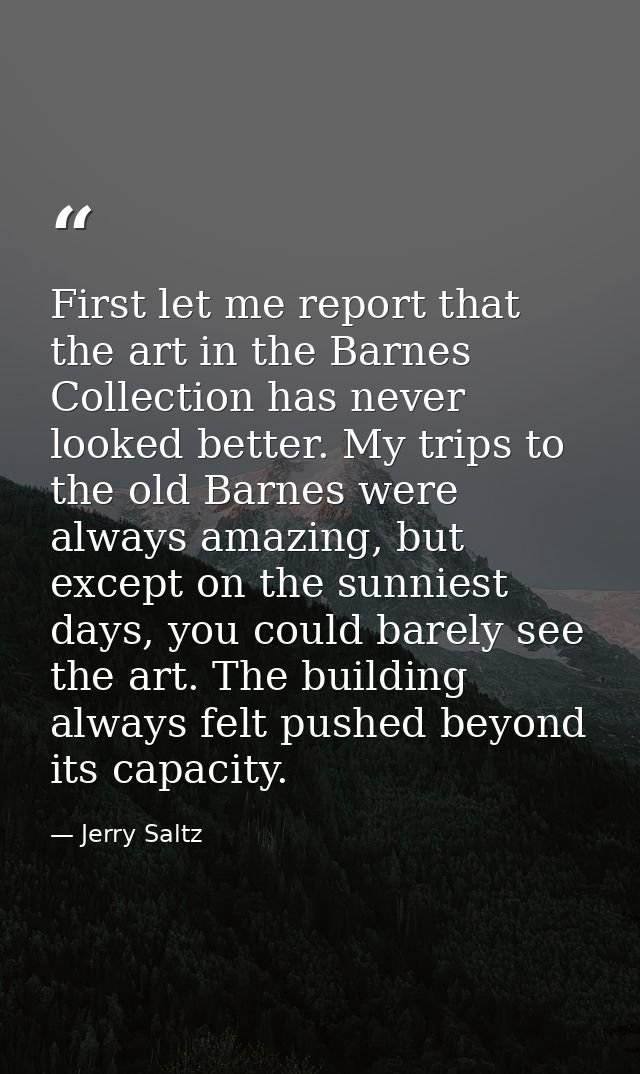 First let me report that the art in the Barnes Collection has never looked better. My trips to the old Barnes were alway — Jerry Saltz