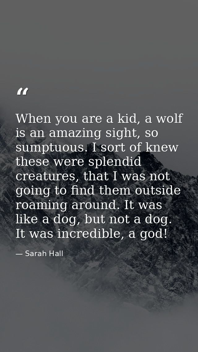 When you are a kid, a wolf is an amazing sight, so sumptuous. I sort of knew these were splendid creatures, that I was n — Sarah Hall