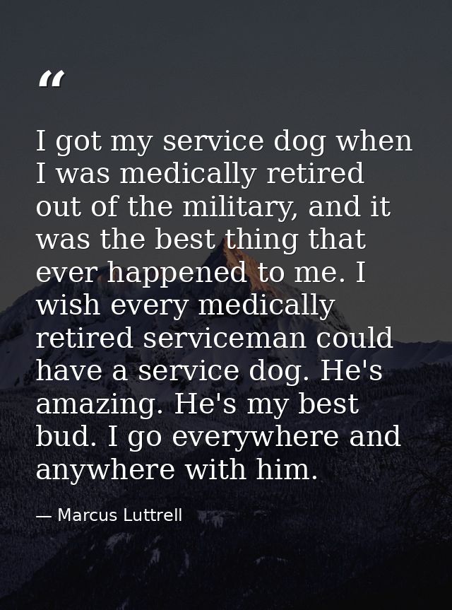 I got my service dog when I was medically retired out of the military, and it was the best thing that ever happened to m — Marcus Luttrell