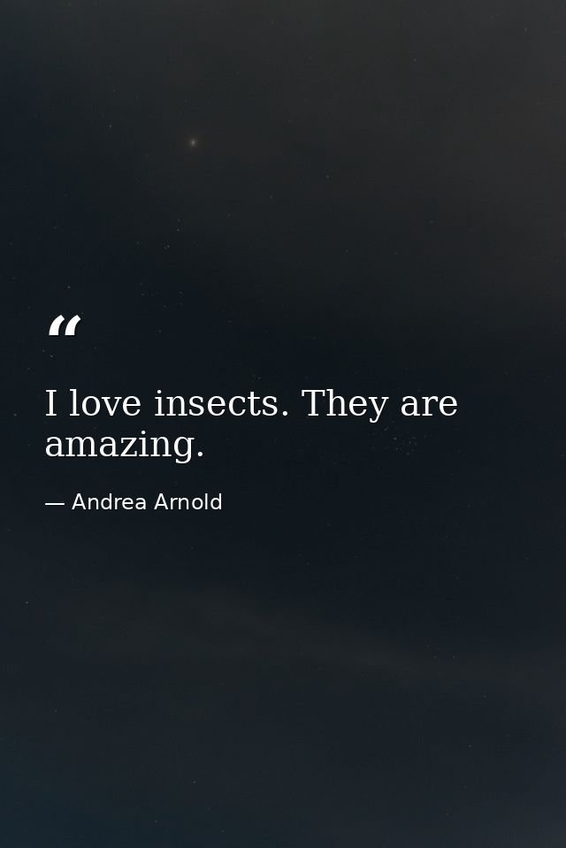 I love insects. They are amazing. — Andrea Arnold