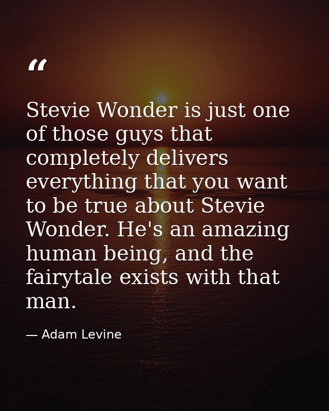 Stevie Wonder is just one of those guys that completely delivers everything that you want to be true about Stevie Wonder — Adam Levine