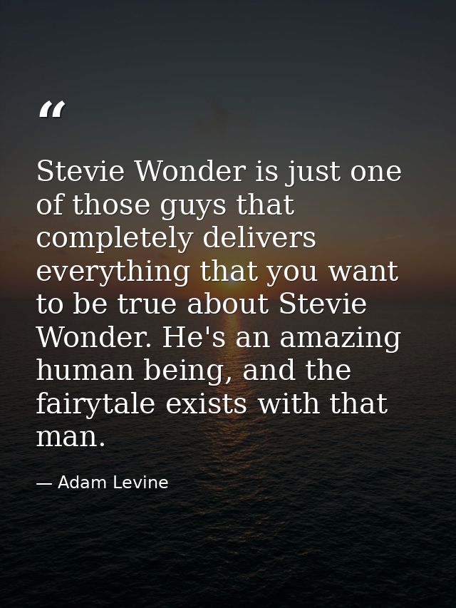 Stevie Wonder is just one of those guys that completely delivers everything that you want to be true about Stevie Wonder — Adam Levine