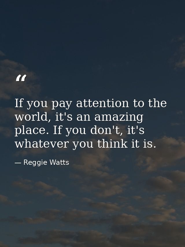 If you pay attention to the world, it's an amazing place. If you don't, it's whatever you think it is. — Reggie Watts
