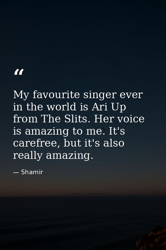 My favourite singer ever in the world is Ari Up from The Slits. Her voice is amazing to me. It's carefree, but it's also — Shamir