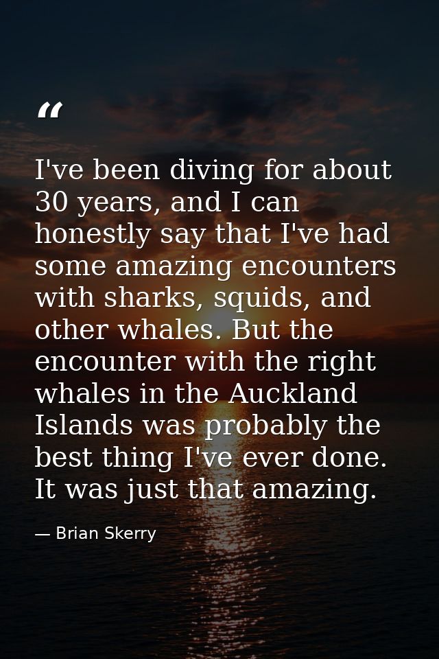 I've been diving for about 30 years, and I can honestly say that I've had some amazing encounters with sharks, squids, a — Brian Skerry
