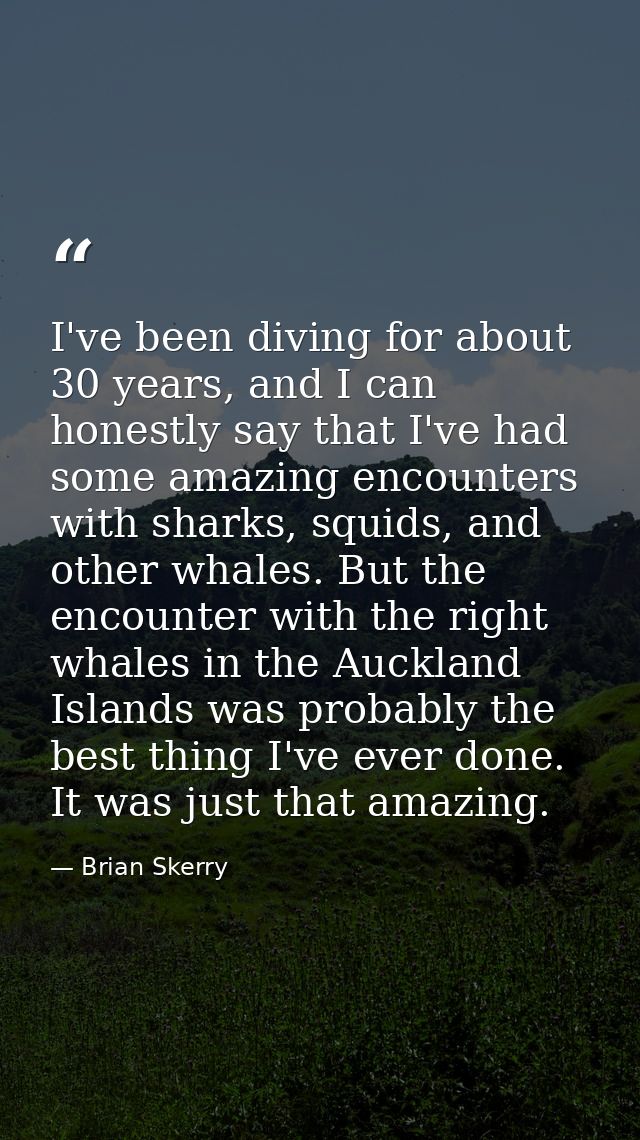 I've been diving for about 30 years, and I can honestly say that I've had some amazing encounters with sharks, squids, a — Brian Skerry