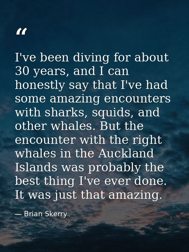 I've been diving for about 30 years, and I can honestly say that I've had some amazing encounters with sharks, squids, a — Brian Skerry