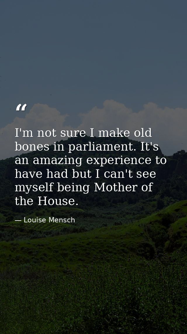 I'm not sure I make old bones in parliament. It's an amazing experience to have had but I can't see myself being Mother  — Louise Mensch