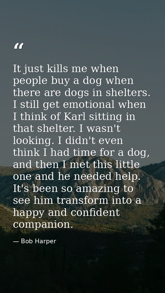 It just kills me when people buy a dog when there are dogs in shelters. I still get emotional when I think of Karl sitti — Bob Harper