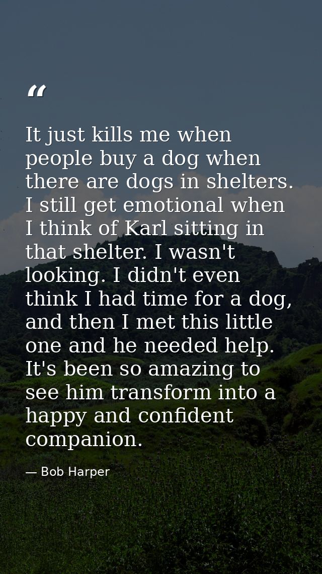 It just kills me when people buy a dog when there are dogs in shelters. I still get emotional when I think of Karl sitti — Bob Harper