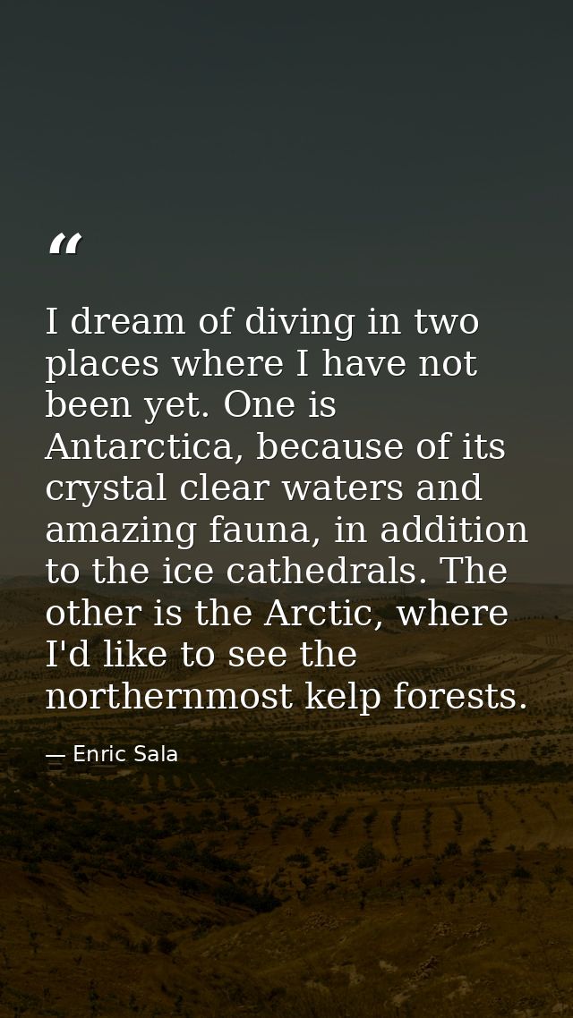 I dream of diving in two places where I have not been yet. One is Antarctica, because of its crystal clear waters and am — Enric Sala
