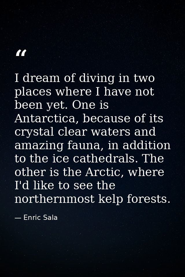 I dream of diving in two places where I have not been yet. One is Antarctica, because of its crystal clear waters and am — Enric Sala