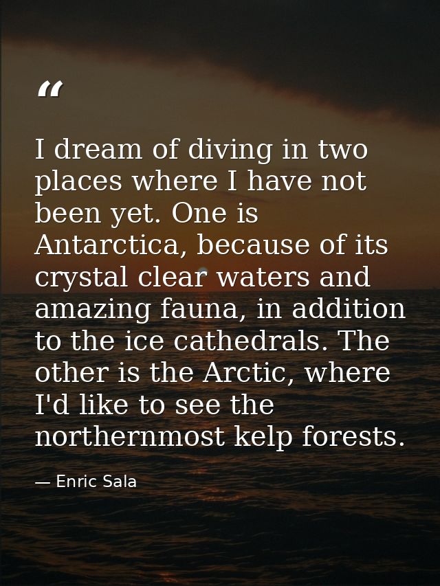 I dream of diving in two places where I have not been yet. One is Antarctica, because of its crystal clear waters and am — Enric Sala