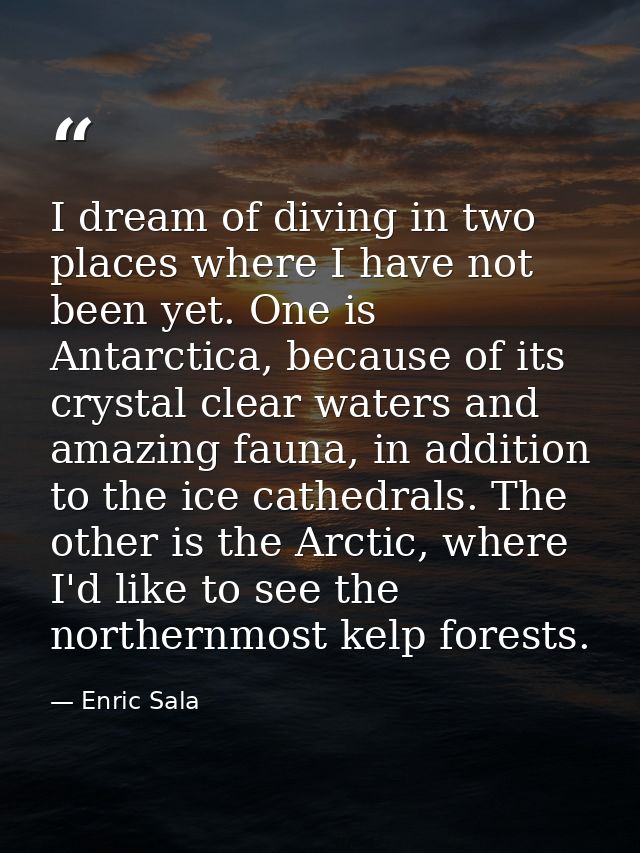 I dream of diving in two places where I have not been yet. One is Antarctica, because of its crystal clear waters and am — Enric Sala