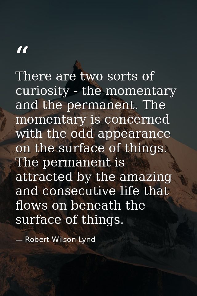 There are two sorts of curiosity - the momentary and the permanent. The momentary is concerned with the odd appearance o — Robert Wilson Lynd