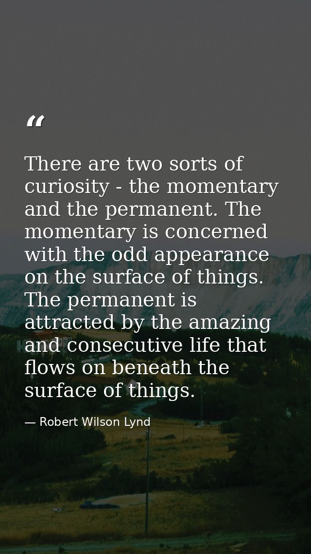 There are two sorts of curiosity - the momentary and the permanent. The momentary is concerned with the odd appearance o — Robert Wilson Lynd