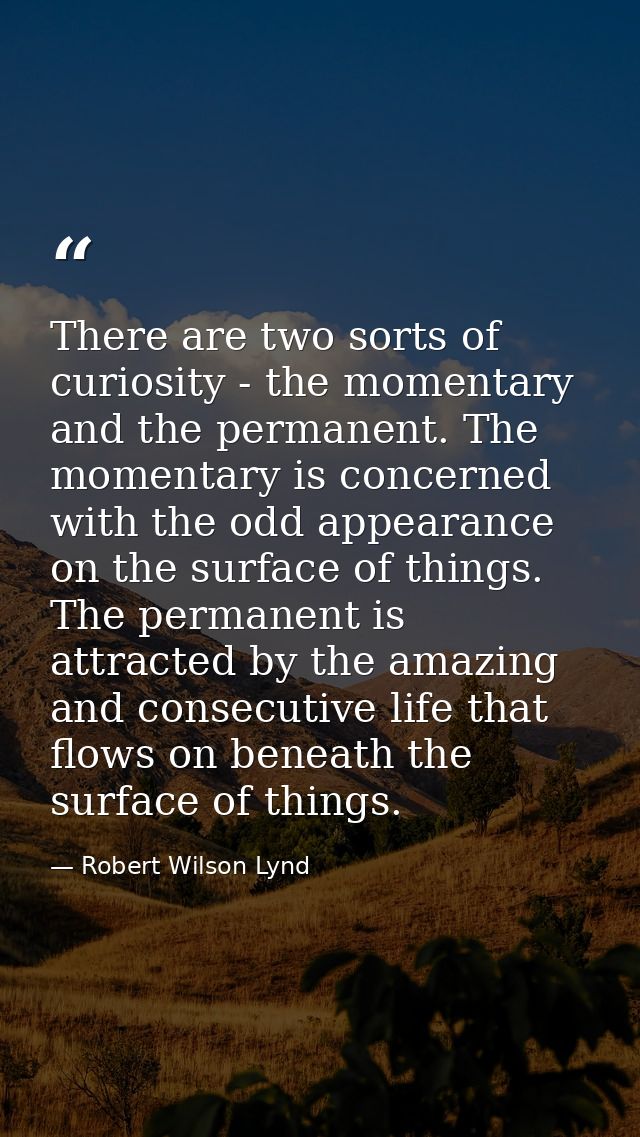There are two sorts of curiosity - the momentary and the permanent. The momentary is concerned with the odd appearance o — Robert Wilson Lynd