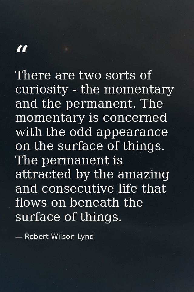 There are two sorts of curiosity - the momentary and the permanent. The momentary is concerned with the odd appearance o — Robert Wilson Lynd