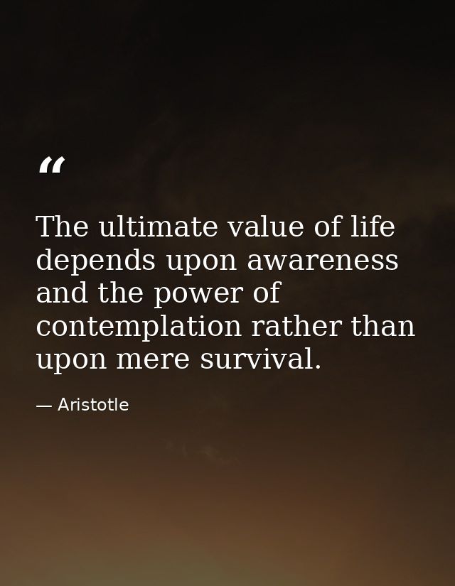The ultimate value of life depends upon awareness and the power of contemplation rather than upon mere survival. — Aristotle