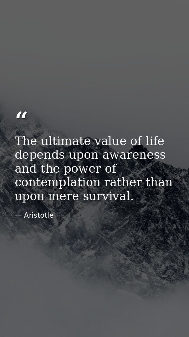 The ultimate value of life depends upon awareness and the power of contemplation rather than upon mere survival. — Aristotle