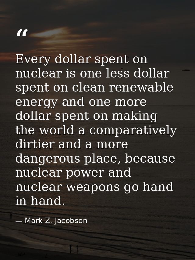 Every dollar spent on nuclear is one less dollar spent on clean renewable energy and one more dollar spent on making the — Mark Z. Jacobson