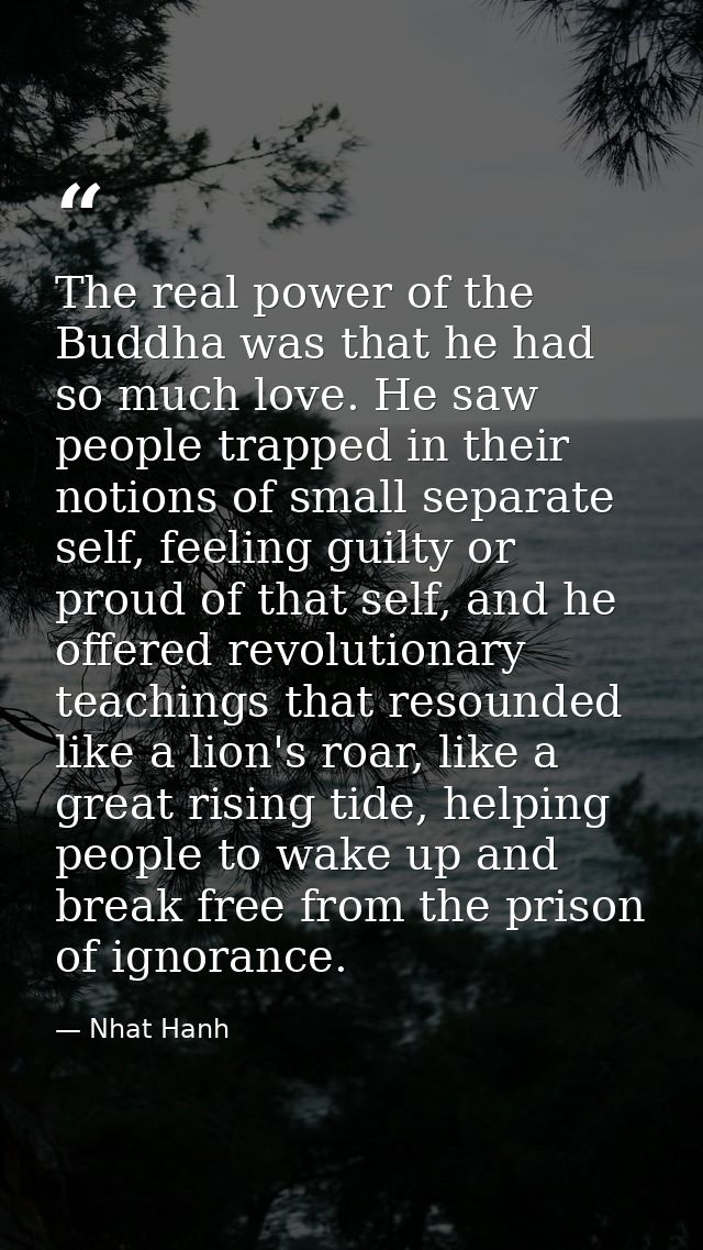 The real power of the Buddha was that he had so much love. He saw people trapped in their notions of small separate self — Nhat Hanh