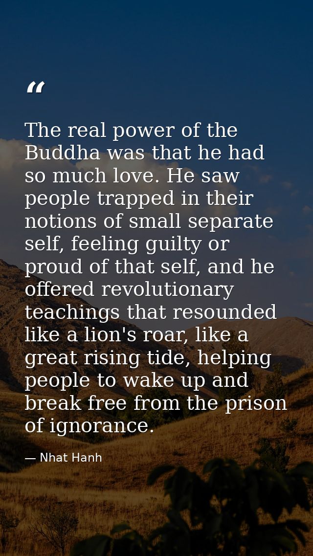The real power of the Buddha was that he had so much love. He saw people trapped in their notions of small separate self — Nhat Hanh