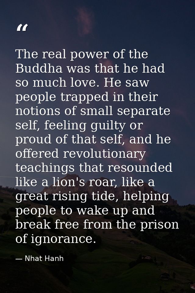 The real power of the Buddha was that he had so much love. He saw people trapped in their notions of small separate self — Nhat Hanh