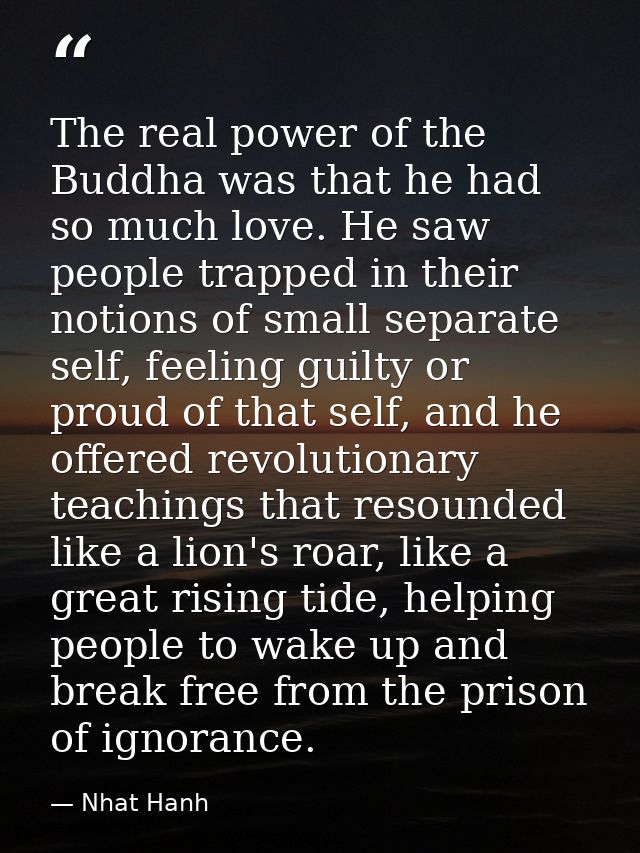 The real power of the Buddha was that he had so much love. He saw people trapped in their notions of small separate self — Nhat Hanh