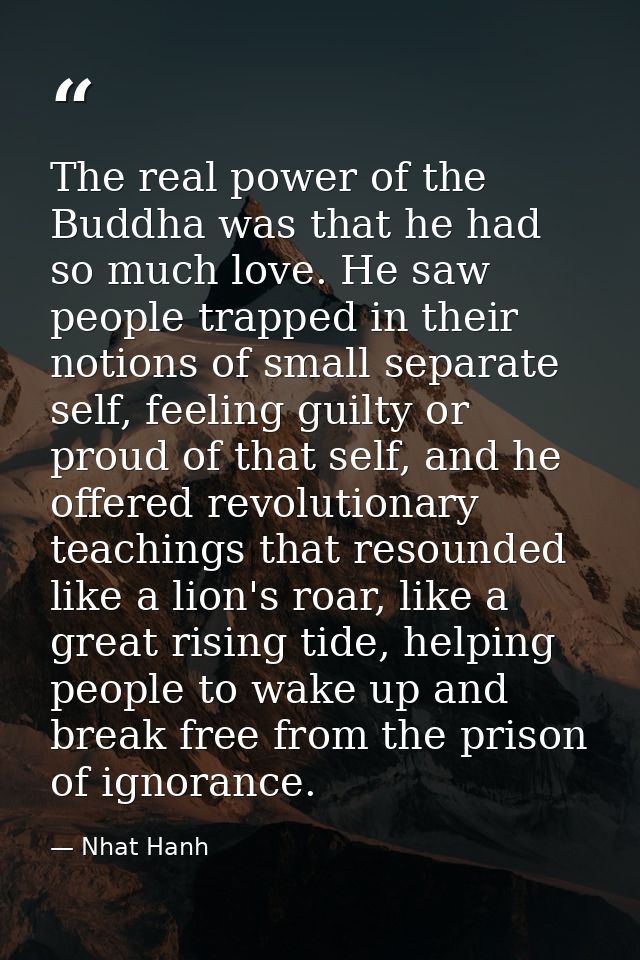 The real power of the Buddha was that he had so much love. He saw people trapped in their notions of small separate self — Nhat Hanh