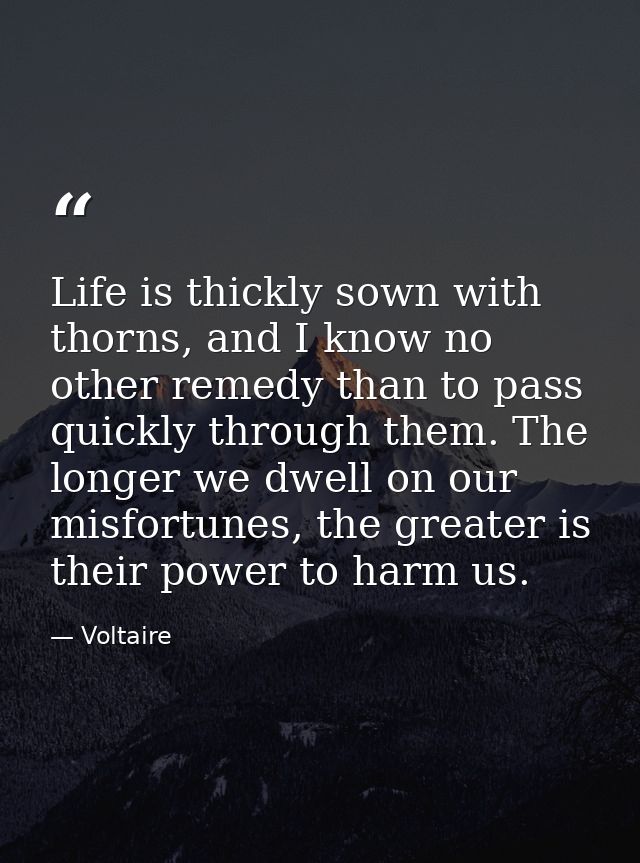 Life is thickly sown with thorns, and I know no other remedy than to pass quickly through them. The longer we dwell on o — Voltaire