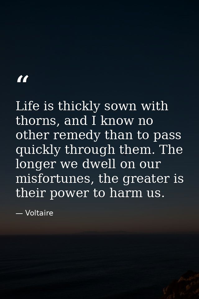 Life is thickly sown with thorns, and I know no other remedy than to pass quickly through them. The longer we dwell on o — Voltaire