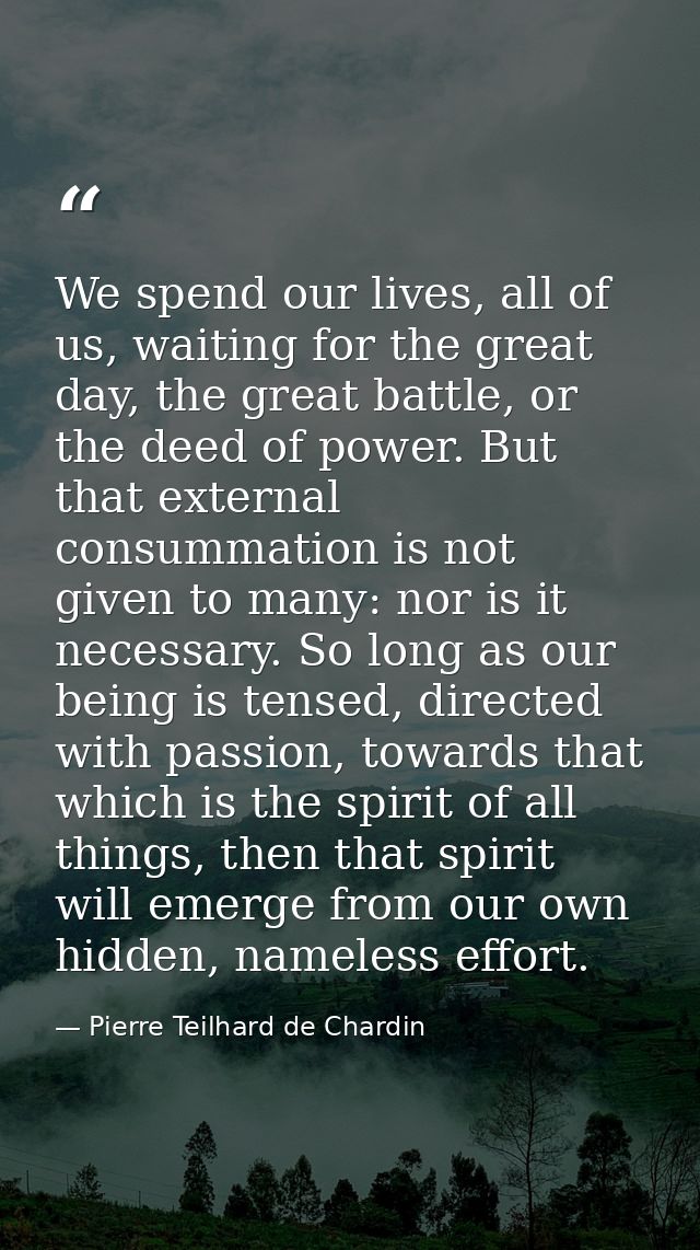 We spend our lives, all of us, waiting for the great day, the great battle, or the deed of power. But that external cons — Pierre Teilhard de Chardin