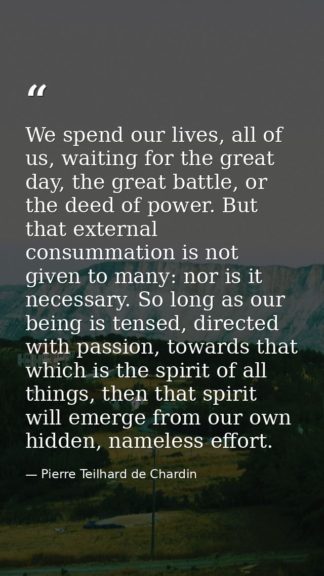 We spend our lives, all of us, waiting for the great day, the great battle, or the deed of power. But that external cons — Pierre Teilhard de Chardin