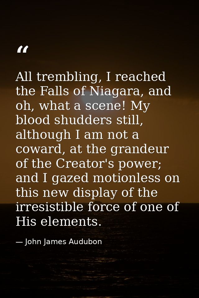 All trembling, I reached the Falls of Niagara, and oh, what a scene! My blood shudders still, although I am not a coward — John James Audubon