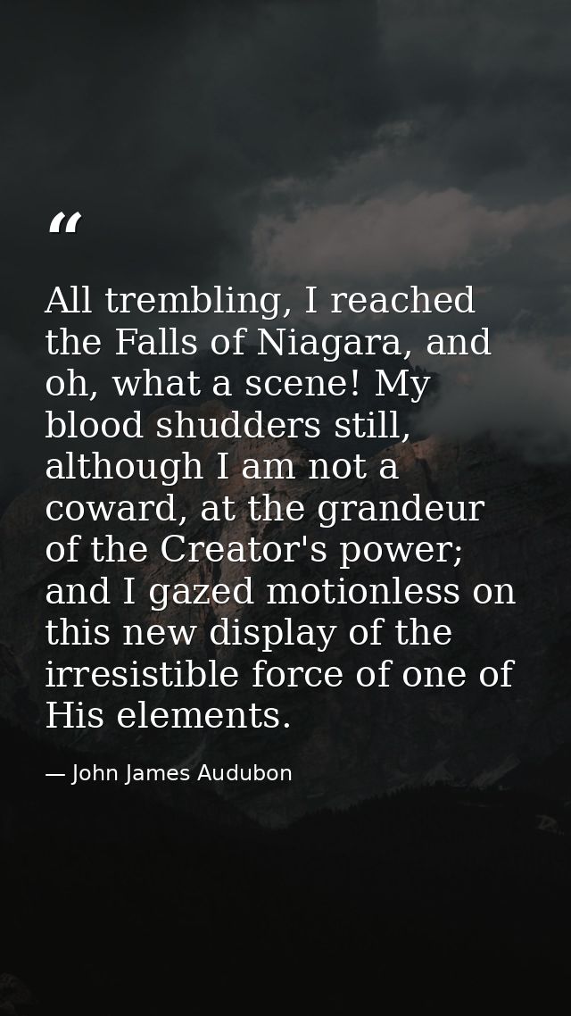 All trembling, I reached the Falls of Niagara, and oh, what a scene! My blood shudders still, although I am not a coward — John James Audubon