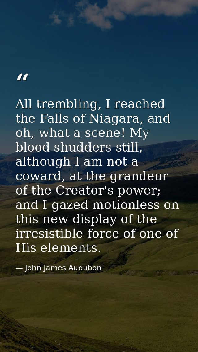 All trembling, I reached the Falls of Niagara, and oh, what a scene! My blood shudders still, although I am not a coward — John James Audubon
