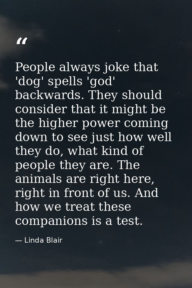People always joke that 'dog' spells 'god' backwards. They should consider that it might be the higher power coming down — Linda Blair