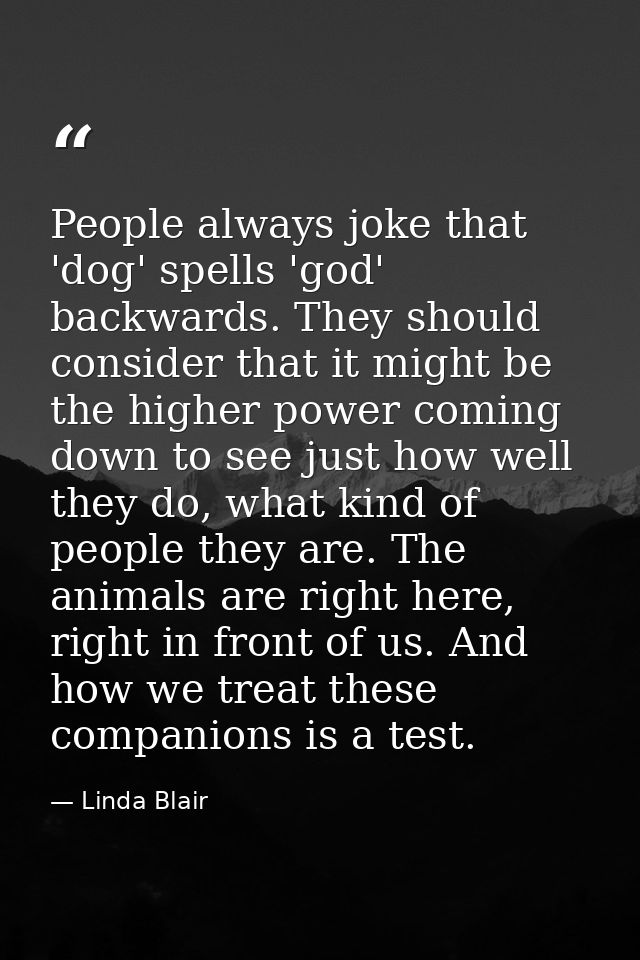 People always joke that 'dog' spells 'god' backwards. They should consider that it might be the higher power coming down — Linda Blair