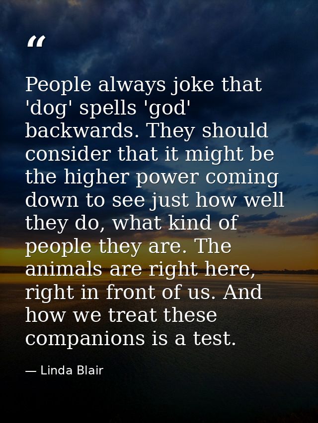 People always joke that 'dog' spells 'god' backwards. They should consider that it might be the higher power coming down — Linda Blair