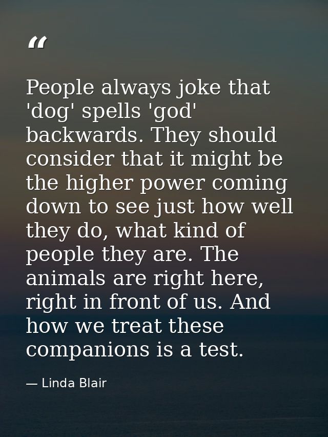 People always joke that 'dog' spells 'god' backwards. They should consider that it might be the higher power coming down — Linda Blair
