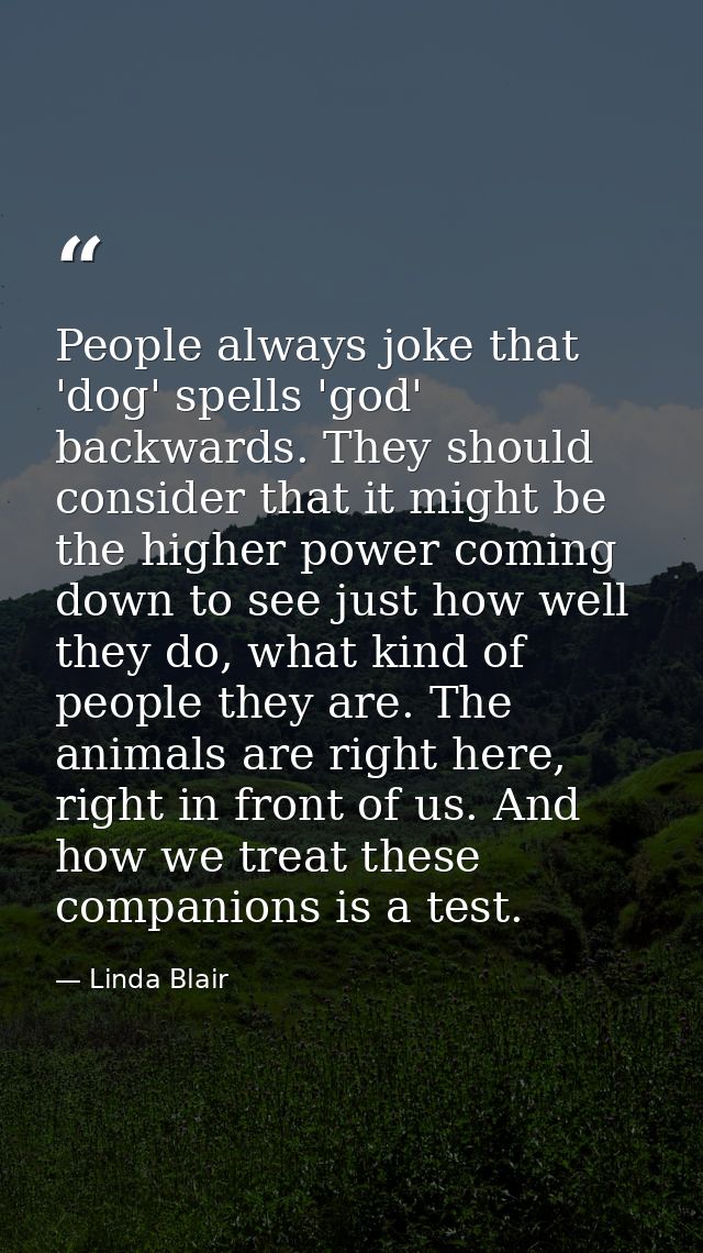 People always joke that 'dog' spells 'god' backwards. They should consider that it might be the higher power coming down — Linda Blair