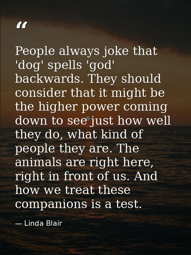People always joke that 'dog' spells 'god' backwards. They should consider that it might be the higher power coming down — Linda Blair
