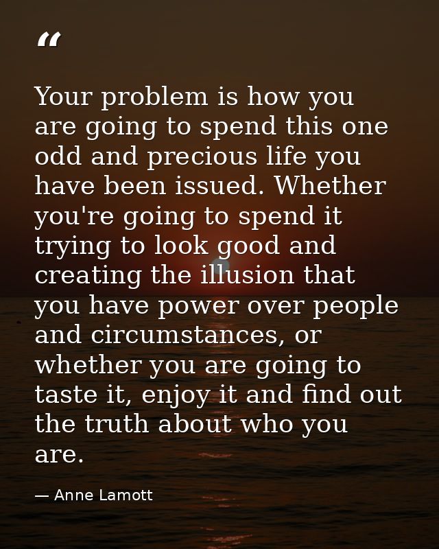 Your problem is how you are going to spend this one odd and precious life you have been issued. Whether you're going to  — Anne Lamott
