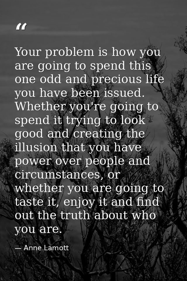 Your problem is how you are going to spend this one odd and precious life you have been issued. Whether you're going to  — Anne Lamott