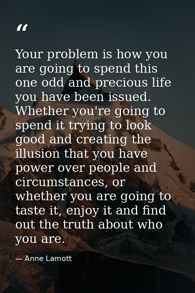Your problem is how you are going to spend this one odd and precious life you have been issued. Whether you're going to  — Anne Lamott
