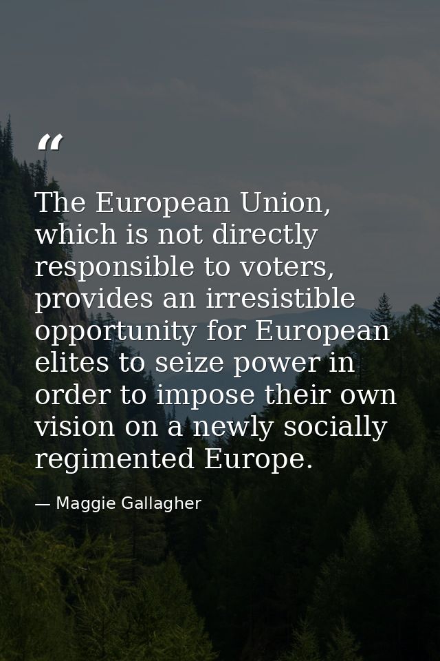 The European Union, which is not directly responsible to voters, provides an irresistible opportunity for European elite — Maggie Gallagher