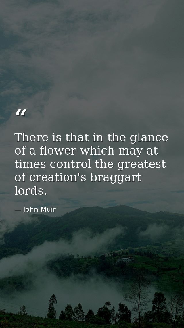 There is that in the glance of a flower which may at times control the greatest of creation's braggart lords. — John Muir