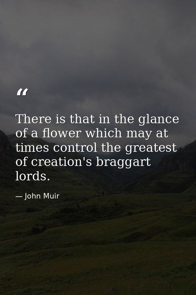 There is that in the glance of a flower which may at times control the greatest of creation's braggart lords. — John Muir