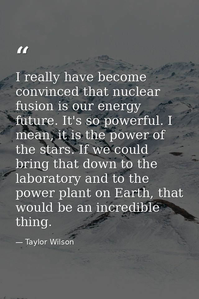I really have become convinced that nuclear fusion is our energy future. It's so powerful. I mean, it is the power of th — Taylor Wilson